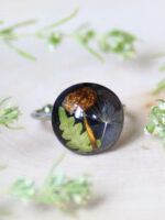 Real Mushroom Adjustable Ring with Fern and Dandelion Seed