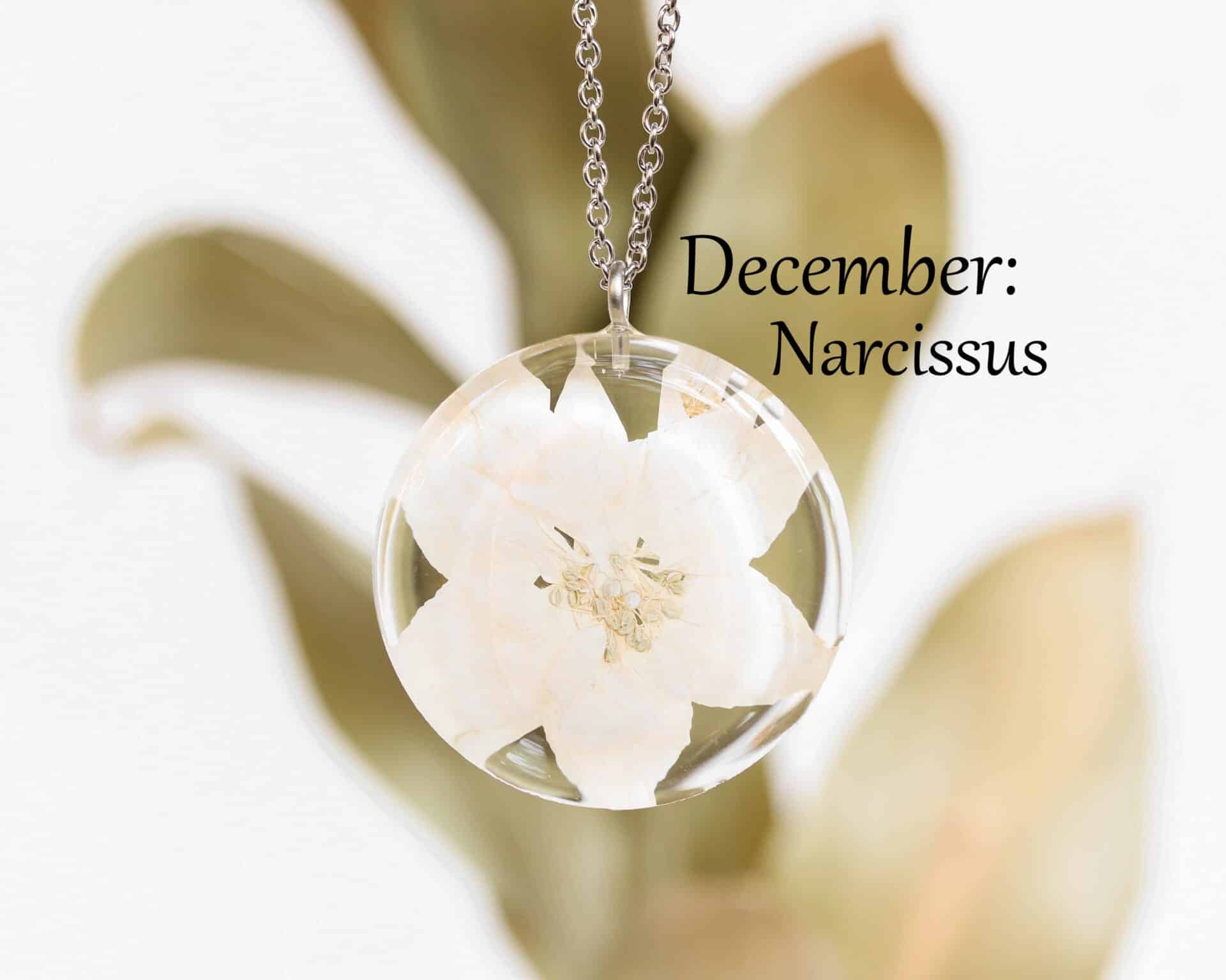 December Pressed Birthflower Necklace Narcissus Flower Jewelry