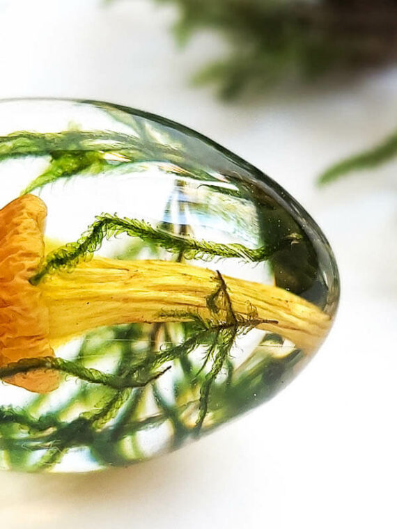 Botanical Inspired Necklace – Dried Mushroom Necklace with Moss