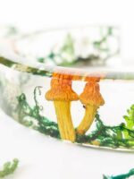 Cuff Bangle Bracelet with Real Mushroom in Resin for Nature Lovers