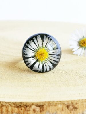 il_fullxfull.2511925204_3um9