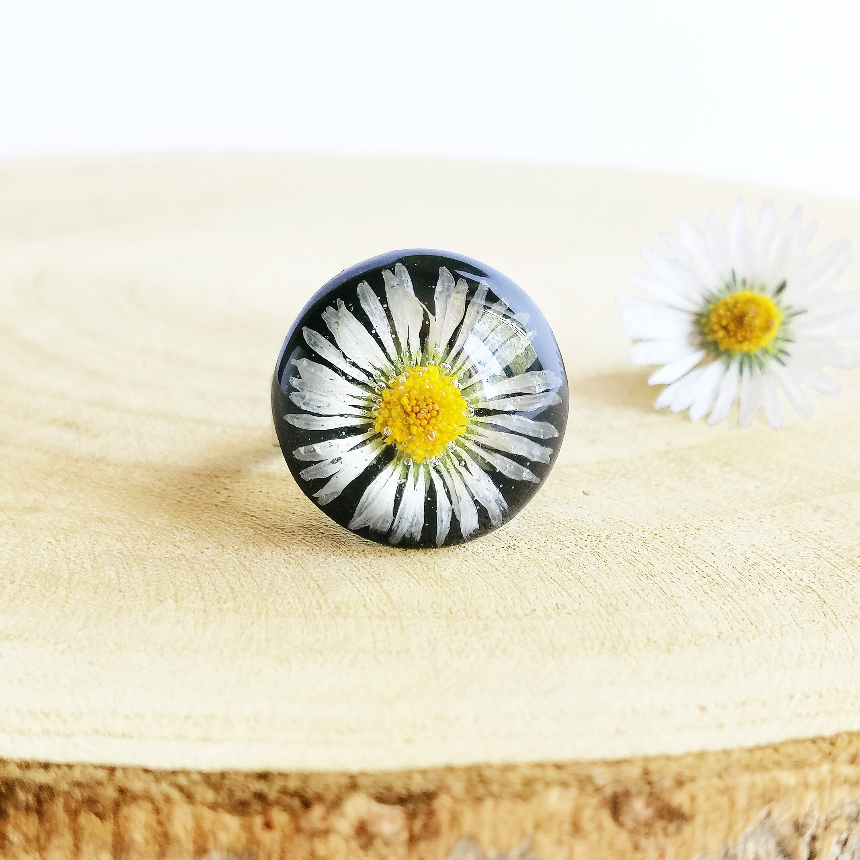 il_fullxfull.2511925204_3um9