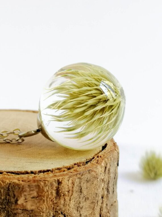 Scottish thistle necklace, Real plant necklace, Botanical necklace, Thistle necklace, Terrarium necklace, Scotland gifts, Thistle jewelry