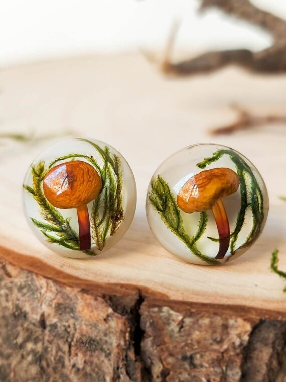 Handmade Forest Earrings Studs with Real Mushrooms and Plants