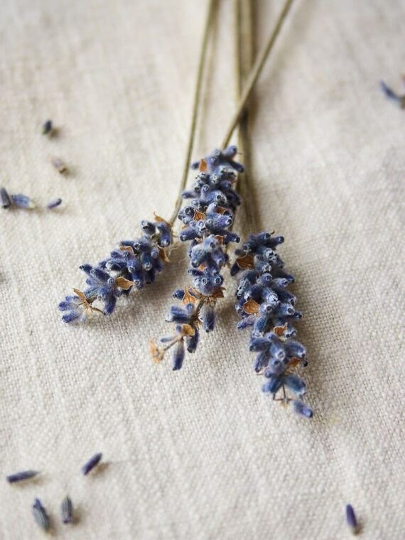 Long pendant necklace, Pressed lavender necklace, Purple floral necklace, Resin necklace flower, Purple long necklace, Unique birthday gifts