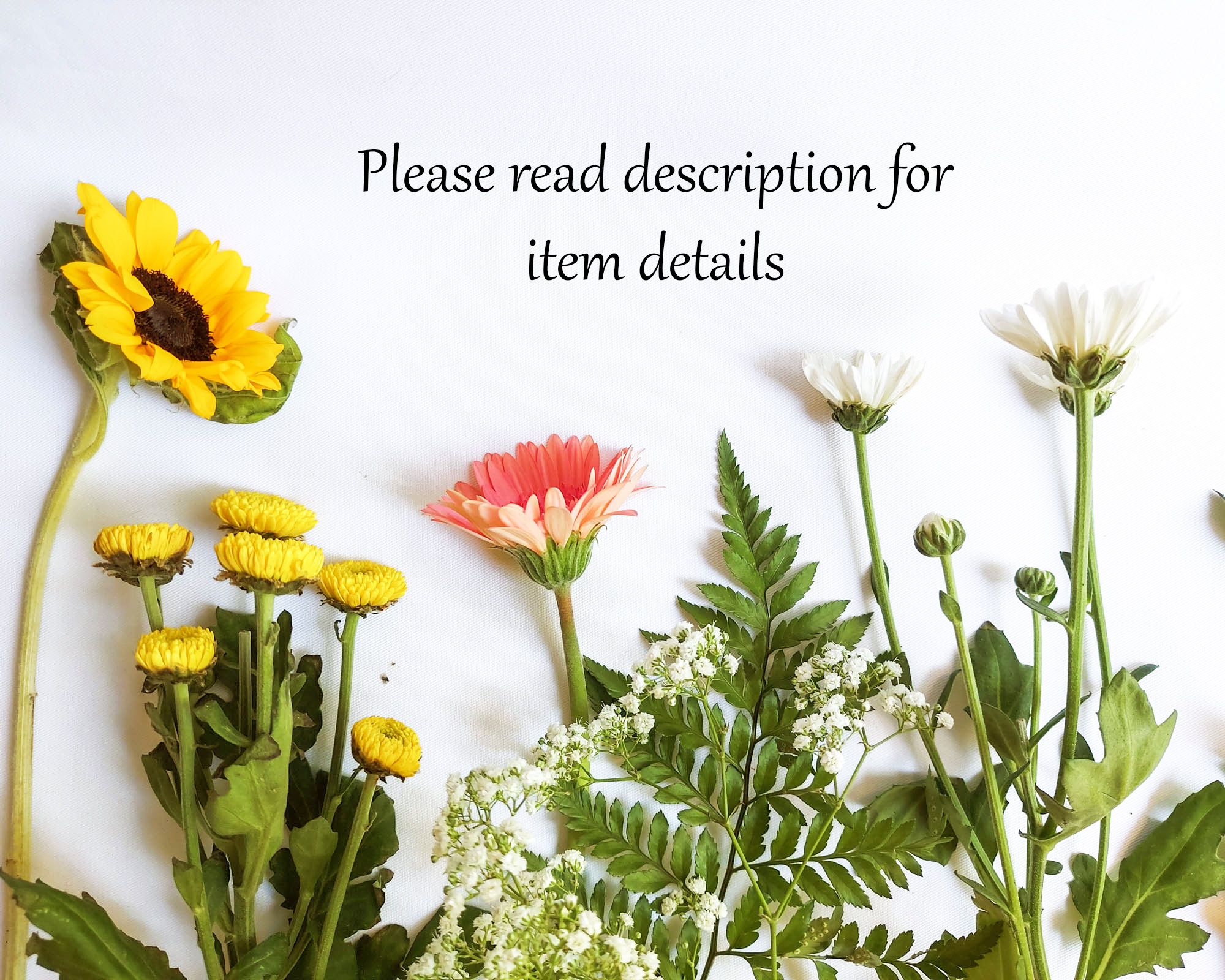 il_fullxfull.4003980043_pgjg