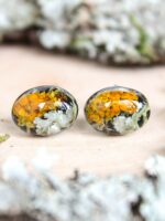 Organic earrings, Moss lichen jewelry, Tiny stud earrings, Oval stud earrings, Boho post earrings, Natural stud earrings, Birthday gift idea
