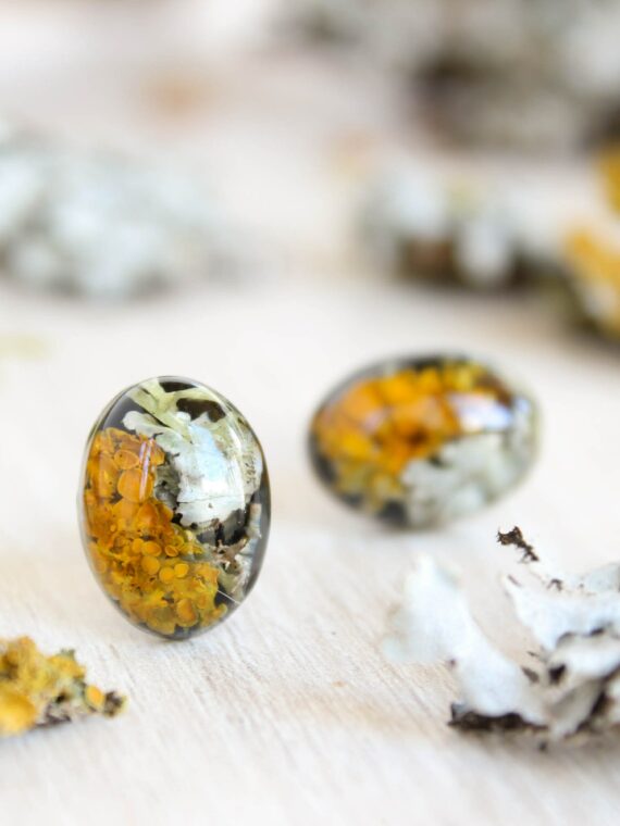 Organic earrings, Moss lichen jewelry, Tiny stud earrings, Oval stud earrings, Boho post earrings, Natural stud earrings, Birthday gift idea