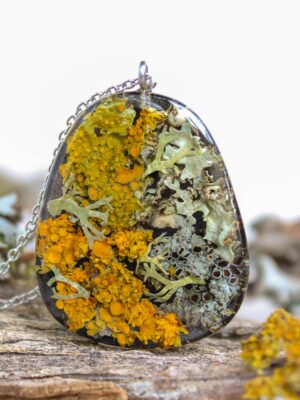 il_fullxfull.4411235927_mdqh