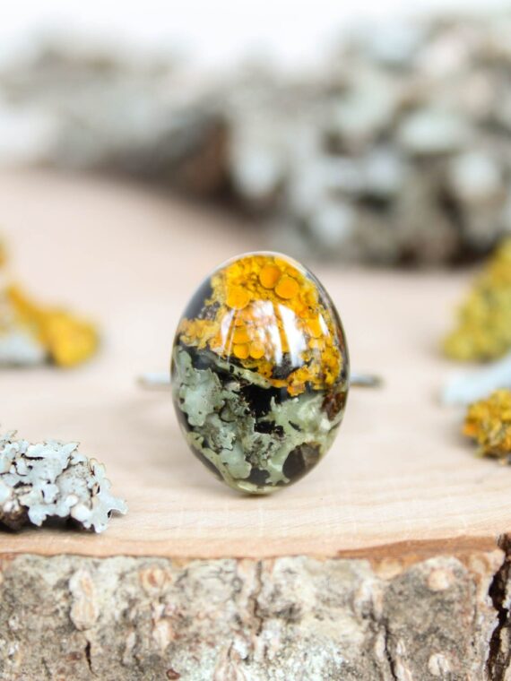 Nature inspired ring, Real lichen moss ring in resin, Terrarium ring, Oval minimalist ring, Adjustable ring for women, Forest inspired ring