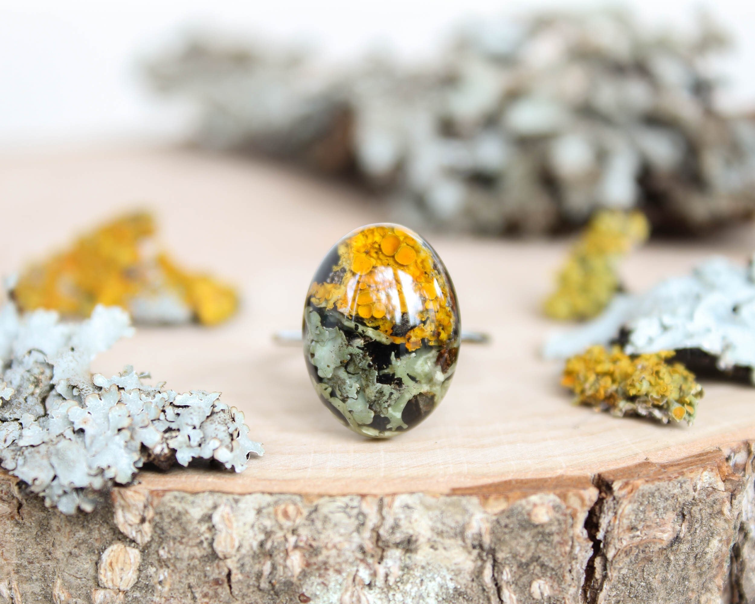 il_fullxfull.4413156661_47x0