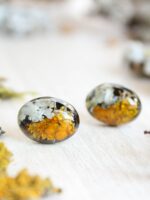 Organic earrings, Moss lichen jewelry, Tiny stud earrings, Oval stud earrings, Boho post earrings, Natural stud earrings, Birthday gift idea