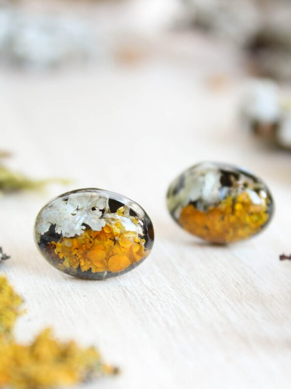 Organic earrings, Moss lichen jewelry, Tiny stud earrings, Oval stud earrings, Boho post earrings, Natural stud earrings, Birthday gift idea