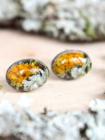 Organic earrings, Moss lichen jewelry, Tiny stud earrings, Oval stud earrings, Boho post earrings, Natural stud earrings, Birthday gift idea