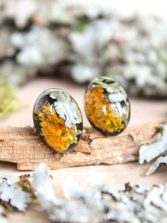 Organic earrings, Moss lichen jewelry, Tiny stud earrings, Oval stud earrings, Boho post earrings, Natural stud earrings, Birthday gift idea