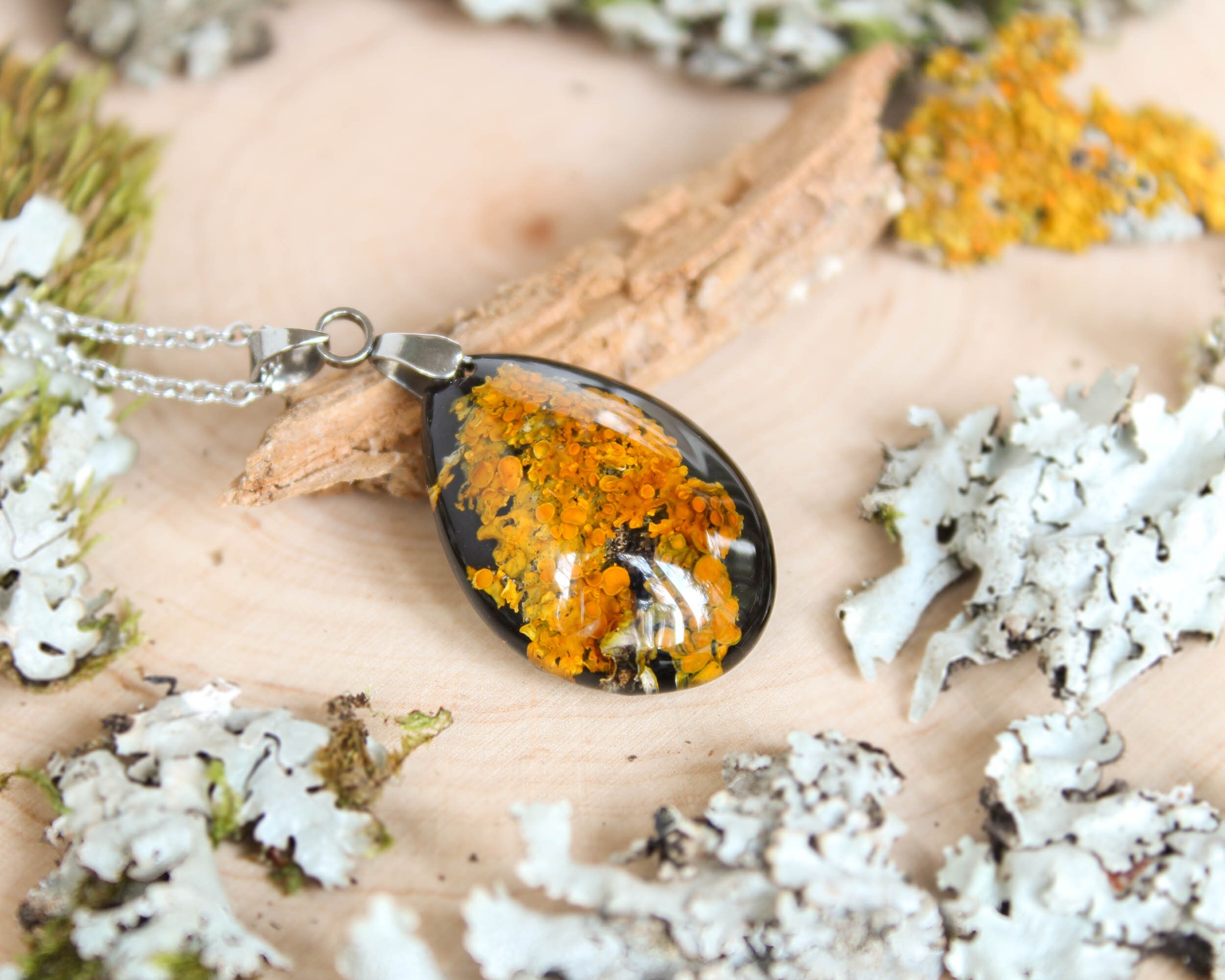 il_fullxfull.4428556739_d3vw