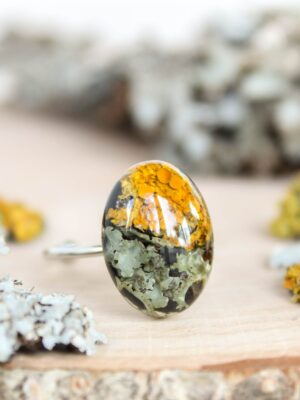 Nature inspired ring, Real lichen moss ring in resin, Terrarium ring, Oval minimalist ring, Adjustable ring for women, Forest inspired ring