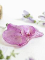 Pressed Orchid Flower Necklace - Large Purple Flower Necklace