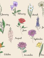 July Birth Flower Necklace with Dried Larkspur – Birthmonth Jewelry