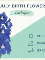 July Birth Flower Necklace with Dried Larkspur – Birthmonth Jewelry