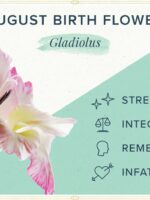 August Birth Flower Necklace - Pressed Gladiolus Jewelry in Resin