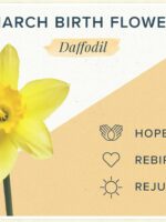 March Birth Flower Necklace with Pressed Flower Pendant in Resin