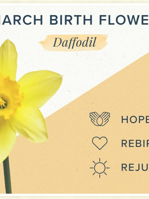 March Birth Flower Necklace with Pressed Flower Pendant in Resin