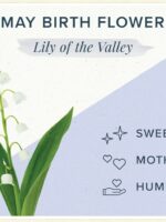 May Birth Flower Necklace with Real Lily Of The Valley in Clear Resin