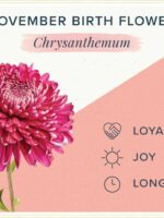 November Real Birth Flower Necklace - Chrysanthemums Jewelry