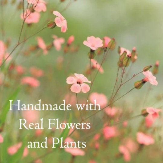 Dainty Crescent Moon Earrings Stud with Pressed Flowers in Resin