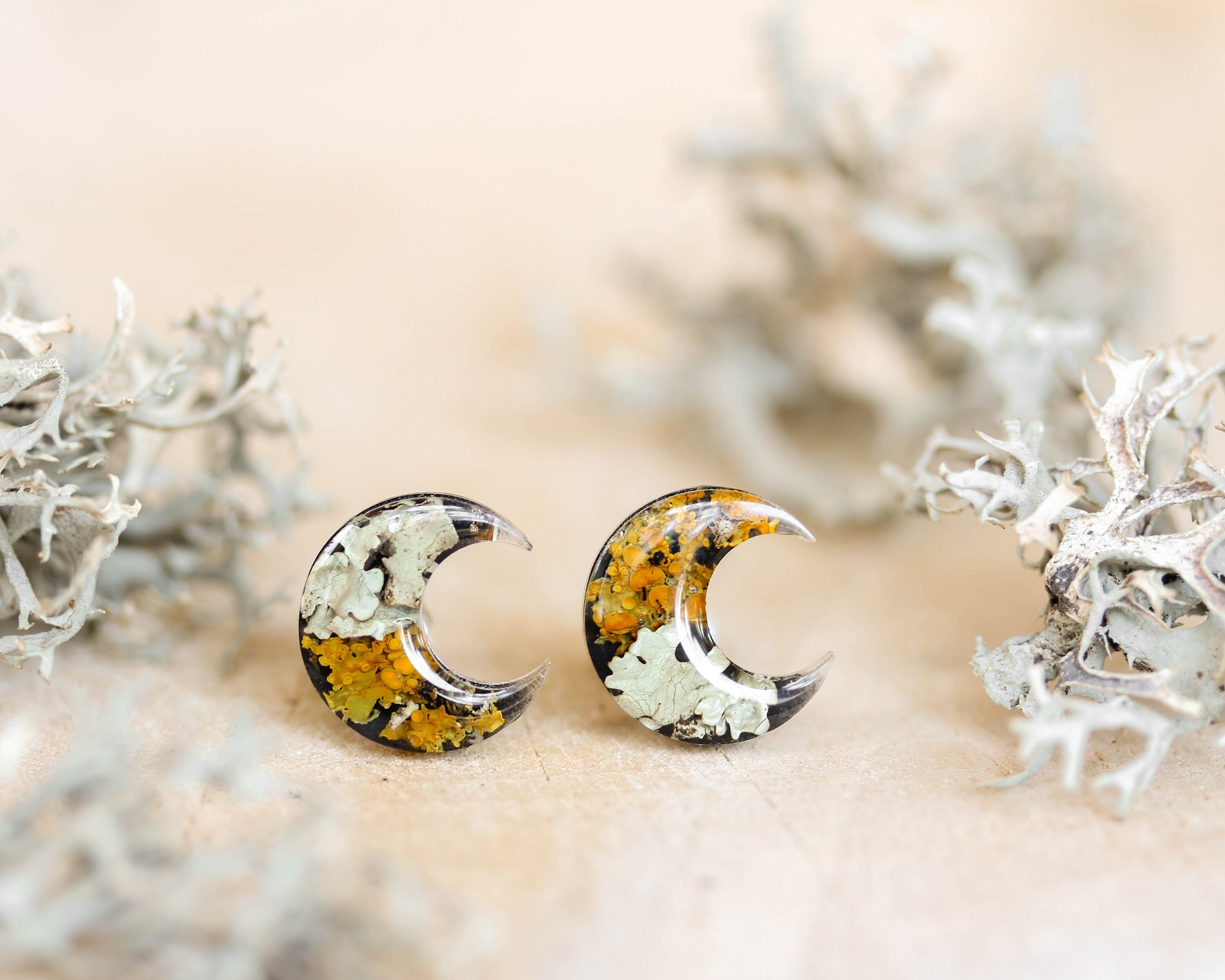 Moon Earrings Studs Inspired by Woodland with Real Lichen