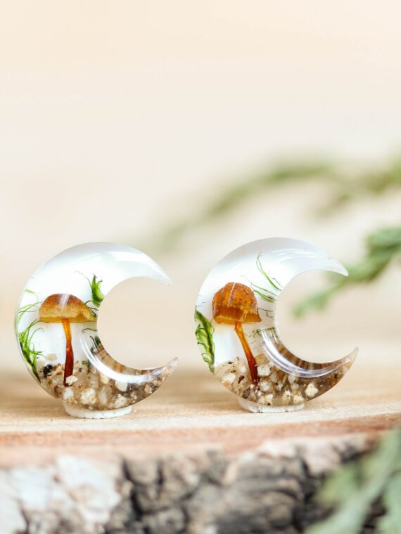 Crescent Moon Earrings Stud with Real Mushroom Inspired by Forest