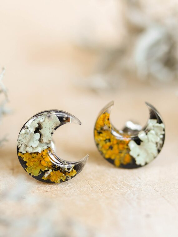 Moon Earrings Studs Inspired by Woodland with Real Lichen
