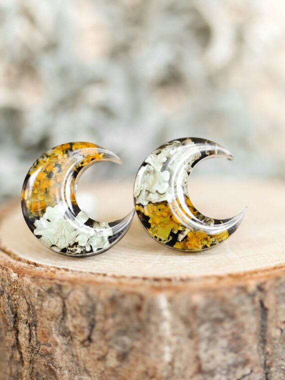 Moon Earrings Studs Inspired by Woodland with Real Lichen
