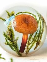 Mushroom Stud Earrings with Real Moss in Eco Friendly Resin