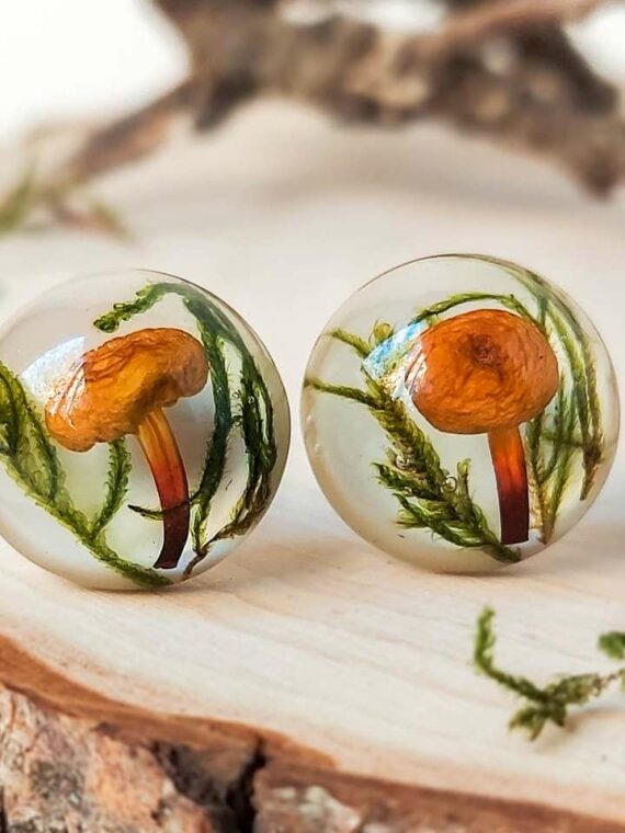 Handmade Forest Earrings Studs with Real Mushrooms and Plants
