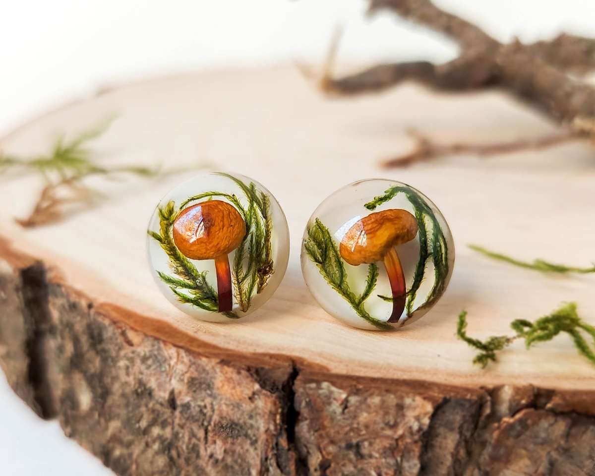 Pair of round resin stud earrings with real orange mushrooms and moss, displayed on a wood slice.