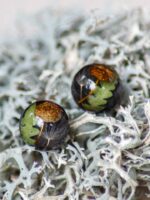 Small Black Stud Earrings with Mushroom, Fern and Dandelion Seed
