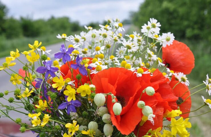 bouquet of wildflowers