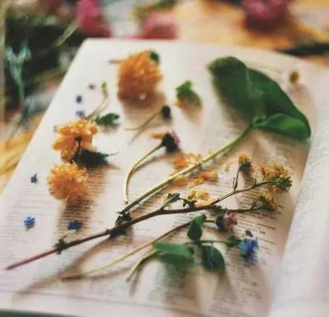 pressing-flowers-for-resin-jewelry